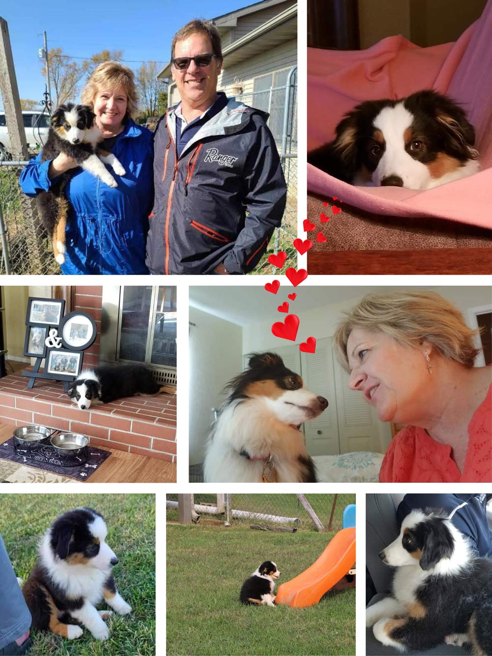 Collage of photos of Deb Coch, her dog Caylee, and boyfriend.